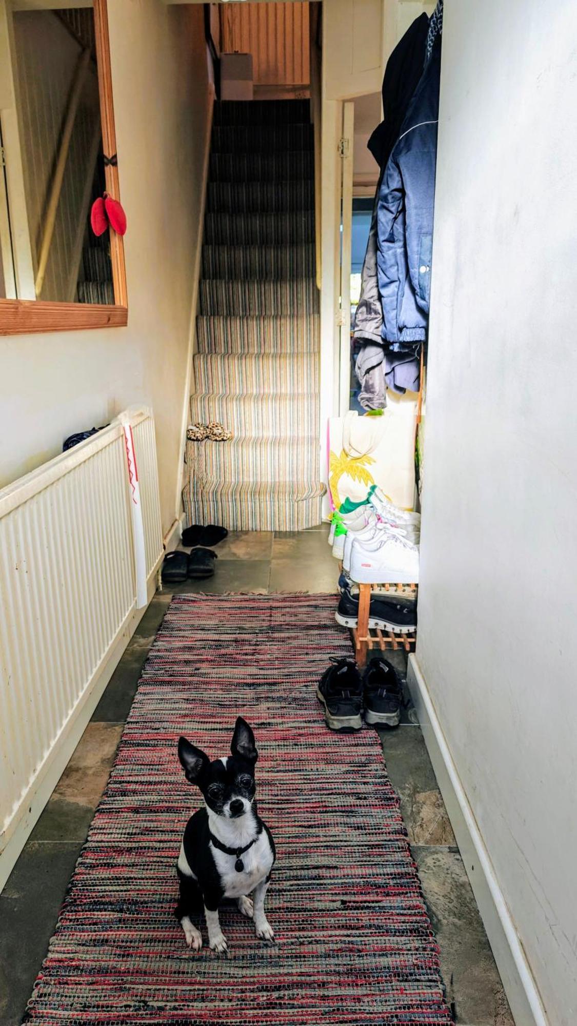 Headington Haven Homestay Оксфорд Екстер'єр фото